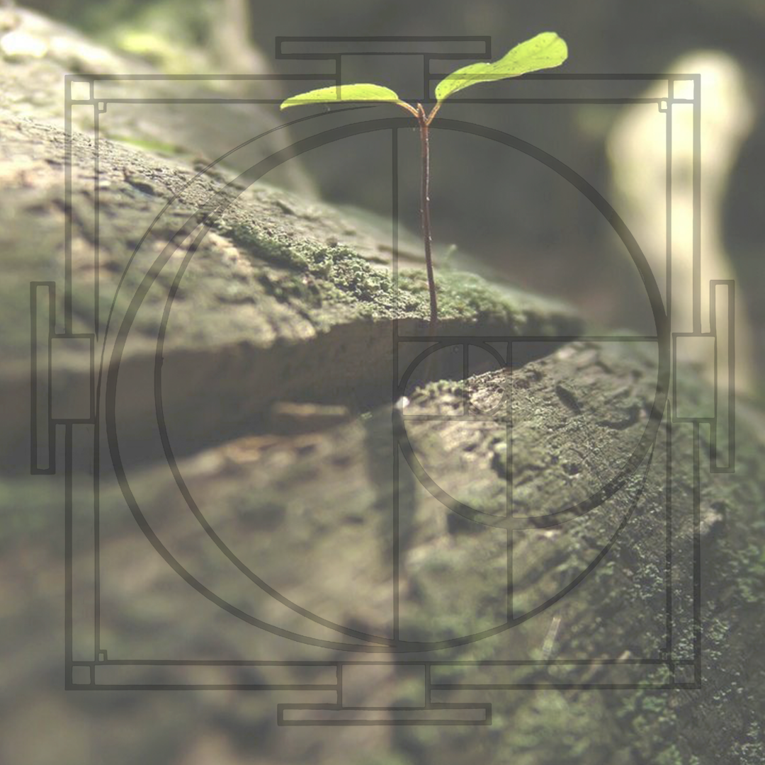Determinación
